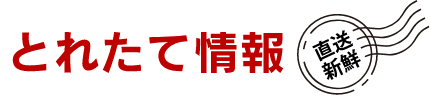 とれたて情報直送新鮮