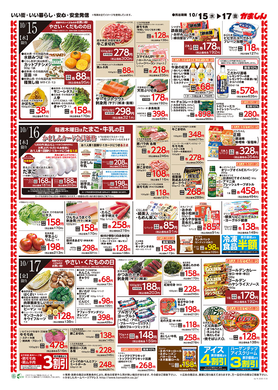 チラシ裏面